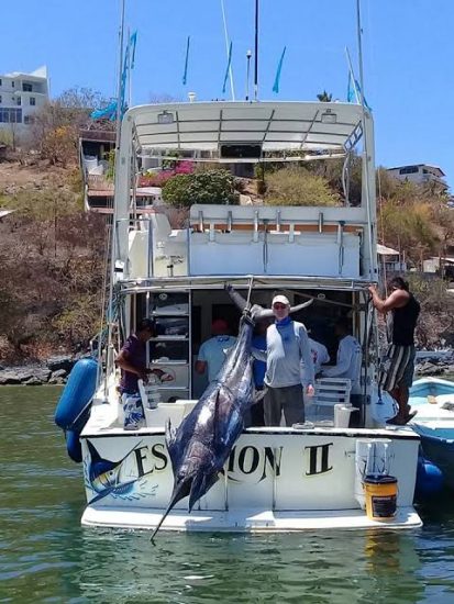 Rent a boat in Ixtapa Zihuatanejo. Ixtapa Zihuatanejo Sport fishing Boats. Ixtapa Zihuatanejo Yachts, Ixtapa Zihuatanejo Boat Rentals, Ixtapa Zihuatanejo Yacht Charters, Ixtapa Zihuatanejo Fishing Charters. Deep sea fishing in Ixtapa Zihuatanejo. Fly fishing in Ixtapa Zihuatanejo. Sport fishing in Ixtapa Zihuatanejo. Inshore fishing in Ixtapa Zihuatanejo. Shared fishing charters in Ixtapa Zihuatanejo